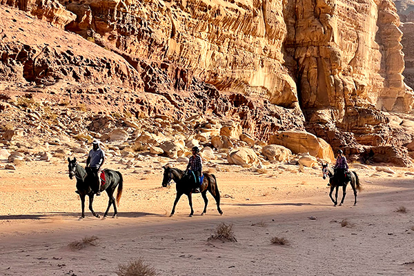 horse riding tours jordan