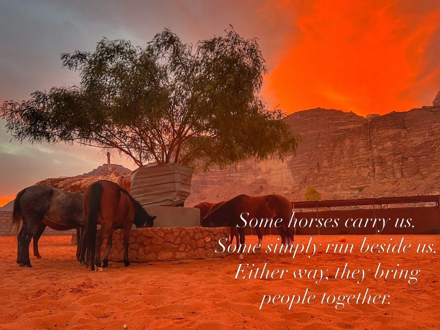 Horse trekking in Wadi Rum desert, Jordan