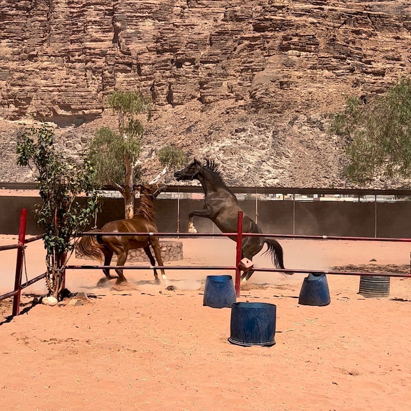 Najam and Amir playing in Wadi Rum Village, Jordan